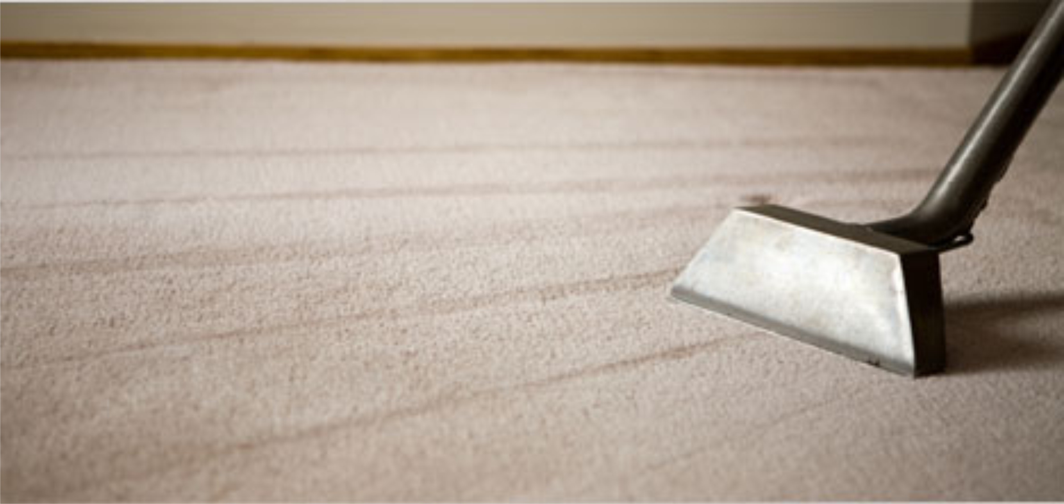 MainPic-Carpet-Cleaning21